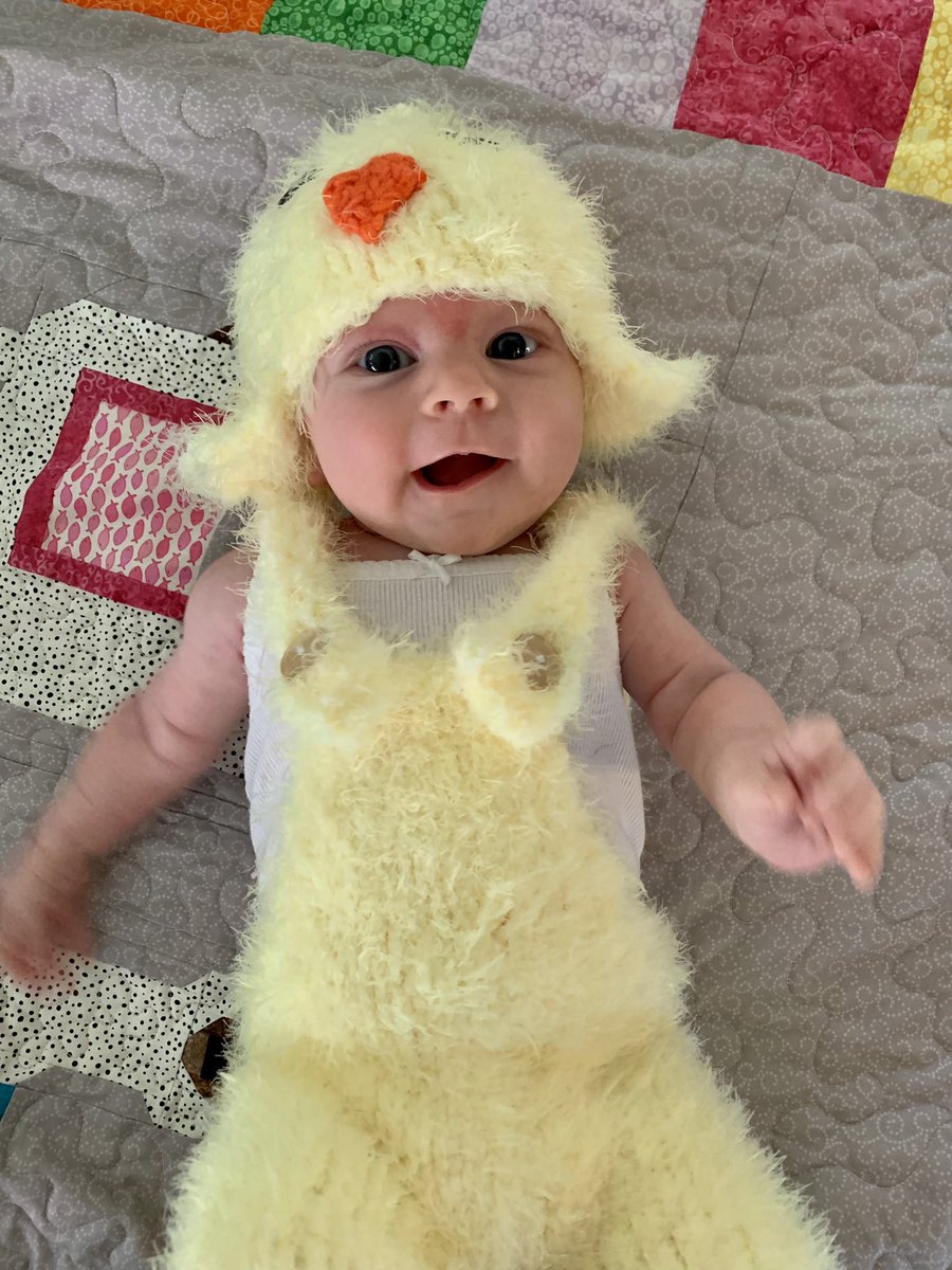 miahvmk's tweet photo. @LifeOfEdgar My babies’ 1st Halloween. She is my ‘little bird’ for Halloween (her name is Wren) 💗 https://t.co/TD3hx9AZVn