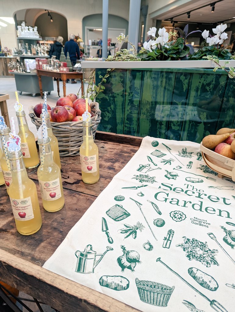 Sarah Fitzpatrick tweet media