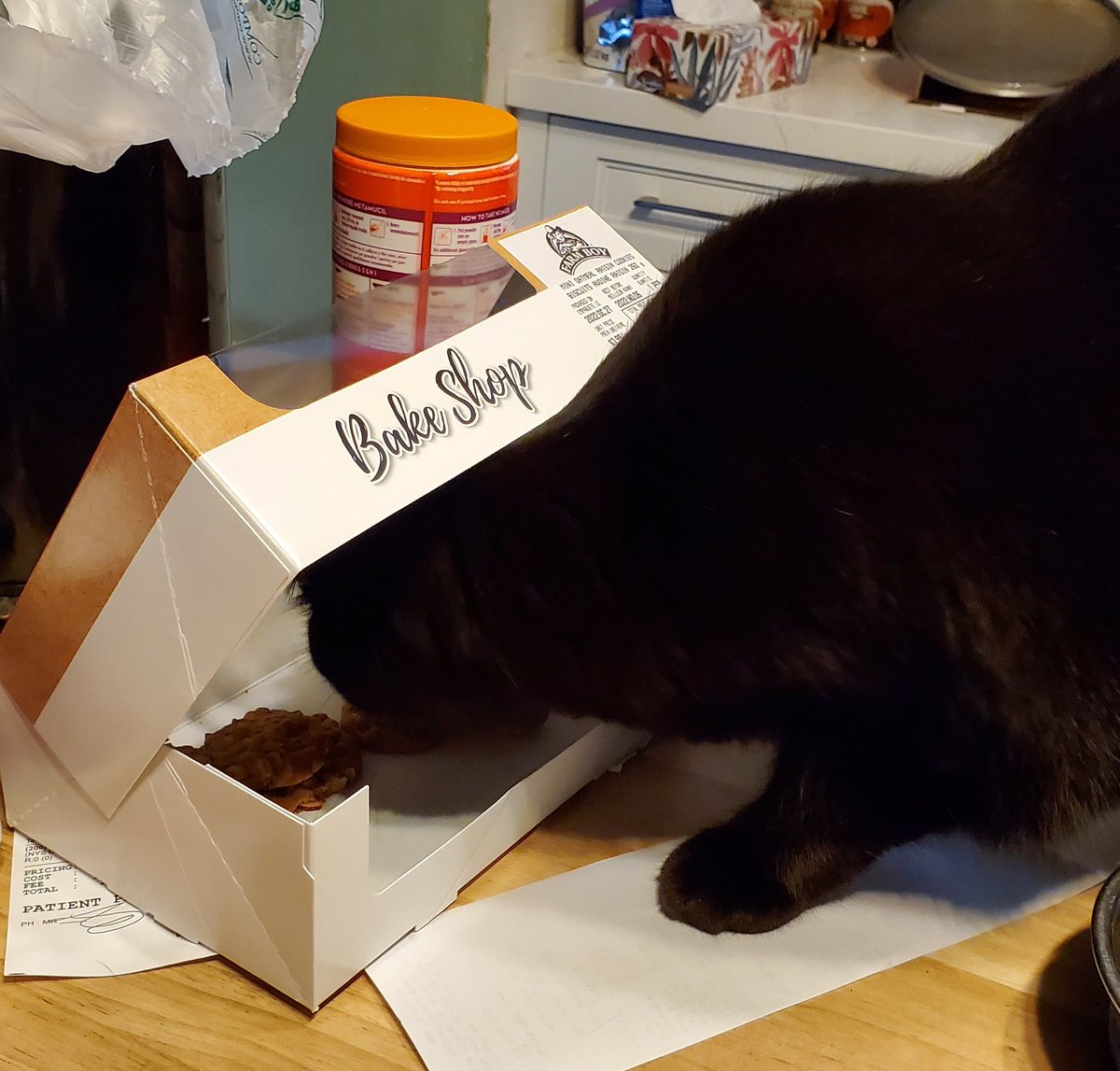 Liana Kerzner on Twitter "For some reason the cats love these Farmboy oatmeal raisin cookies. I