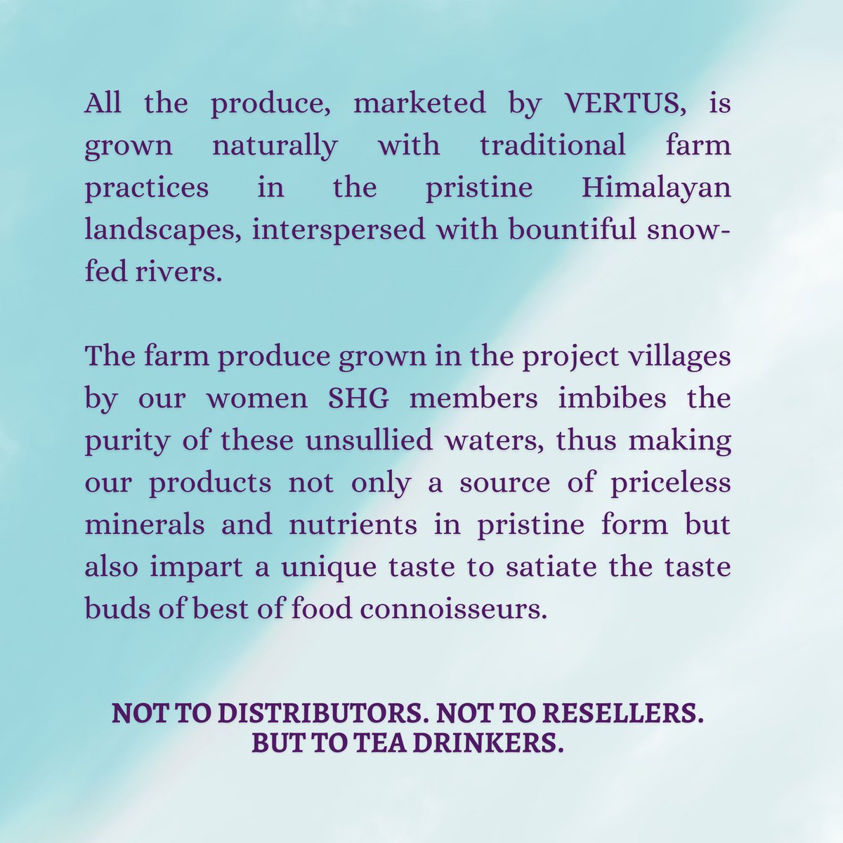 VertusIndia's tweet photo. Our brand has become synonymous with quality and we ensure a continuous variety of fantastic tea and unique limited edition and seasonal flavors.
.
#vertus #vertustea #makinindia #kangratea #premiumblends
@heeraman98 https://t.co/mum6mXd82r