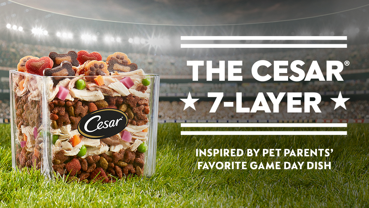 Give your dog a taste of the big game with the CESAR® 7 Layer! More mouthwatering recipes for your furry companion can be found here. bit.ly/3UjIZB9 

#CESARGameday #GamedayRecipes #DogRecipes #CESARDogFood #DogFoodIdeas