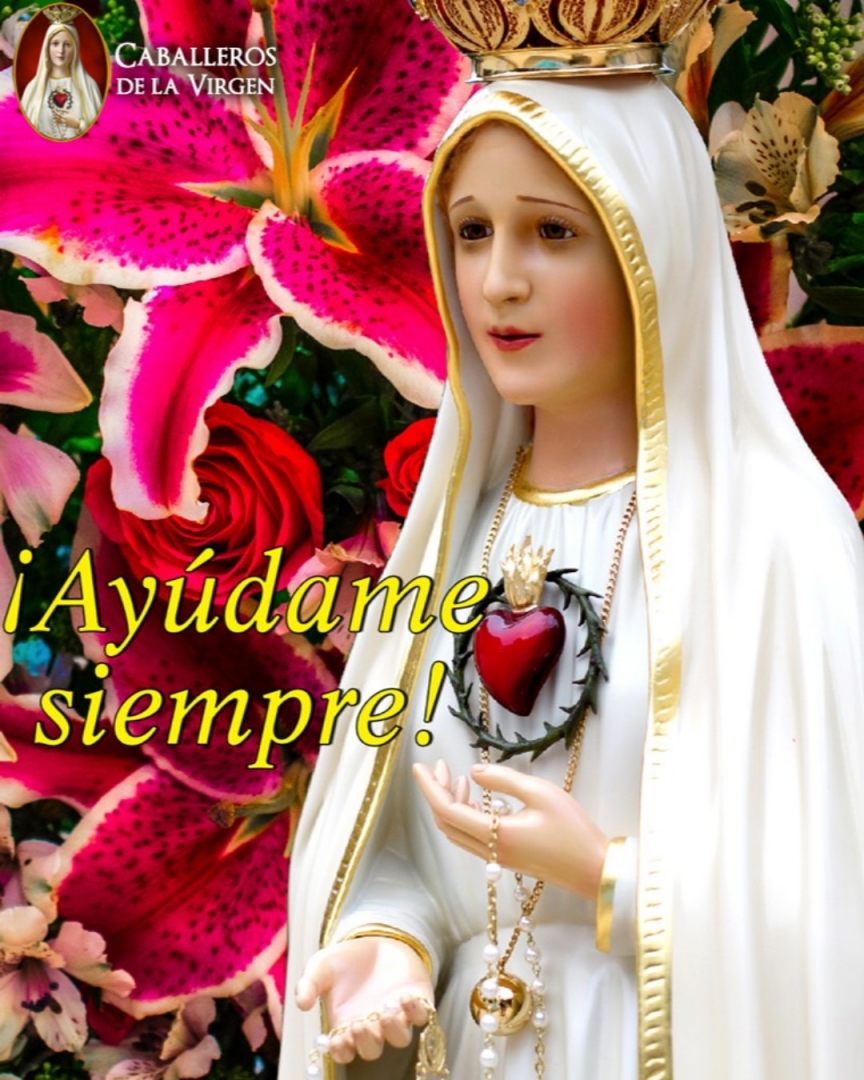 Cab_Virgen's tweet photo. María, Madre de misericordia y esperanza nuestra, enséñanos a ir continuamente a Jesús y, si caemos, ayúdanos a levantarnos de nuevo y volver a Él. https://t.co/NbIGY46Amy