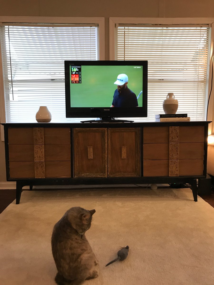 natepfinneran's tweet photo. Cheering on season champ DJ from Bubba’s hometown, Pensacola, FL. Can’t wait to see Bubba on tour next year! #LIVGolfMiami #LIVBroadcast #LIVGolf https://t.co/jRsUIADNrp