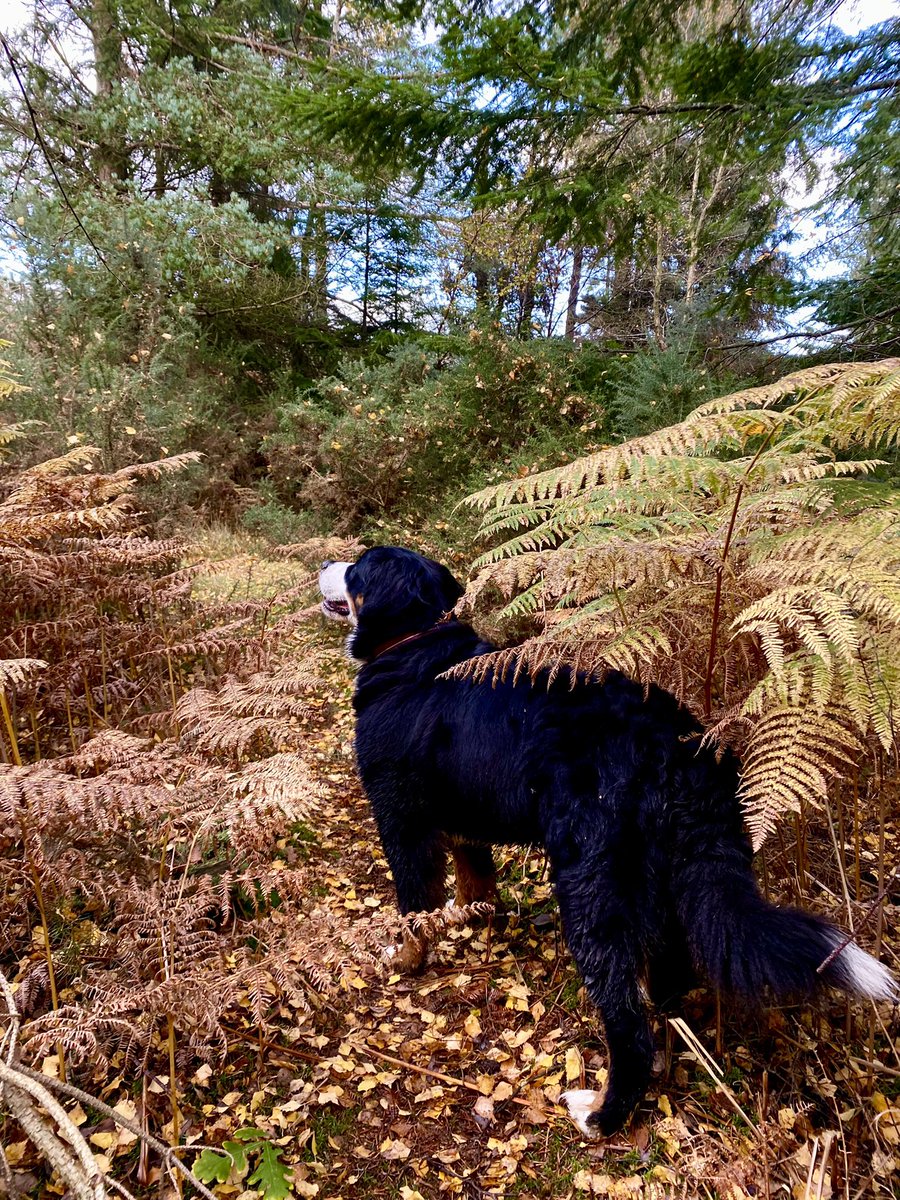 Jen Butler tweet media