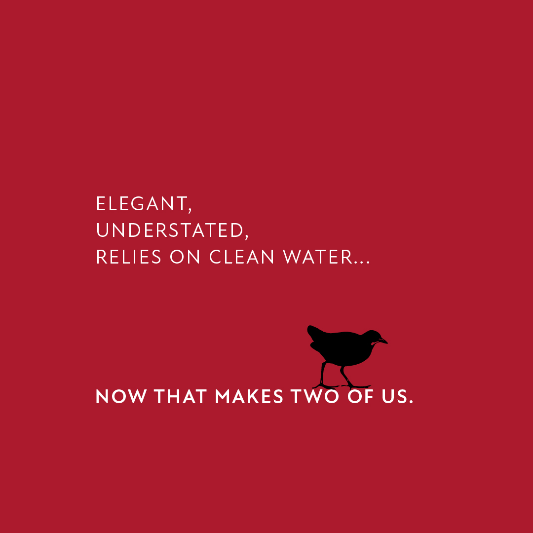 BrokenShedVodka's tweet photo. What more needs to be said? For every bottle of Broken Shed Vodka sold in October we’ll donate $1 to #ForestAndBird to support their conservation efforts. Voting closes soon, so Vote Spotless Crake for Bird of the Year 2022! https://t.co/ROXyh4kX8M
#birdoftheyear #boty https://t.co/DImDubgi7E