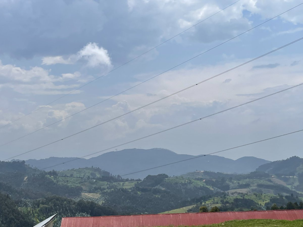 CNkulikiyinka's tweet photo. #VisitRwanda #VisitRwanda
@RwandaWest @KarongiDistr #Kinunu #GishwatiForest #Nature @Gishwati_Mukura https://t.co/bOt4cZK0Ec