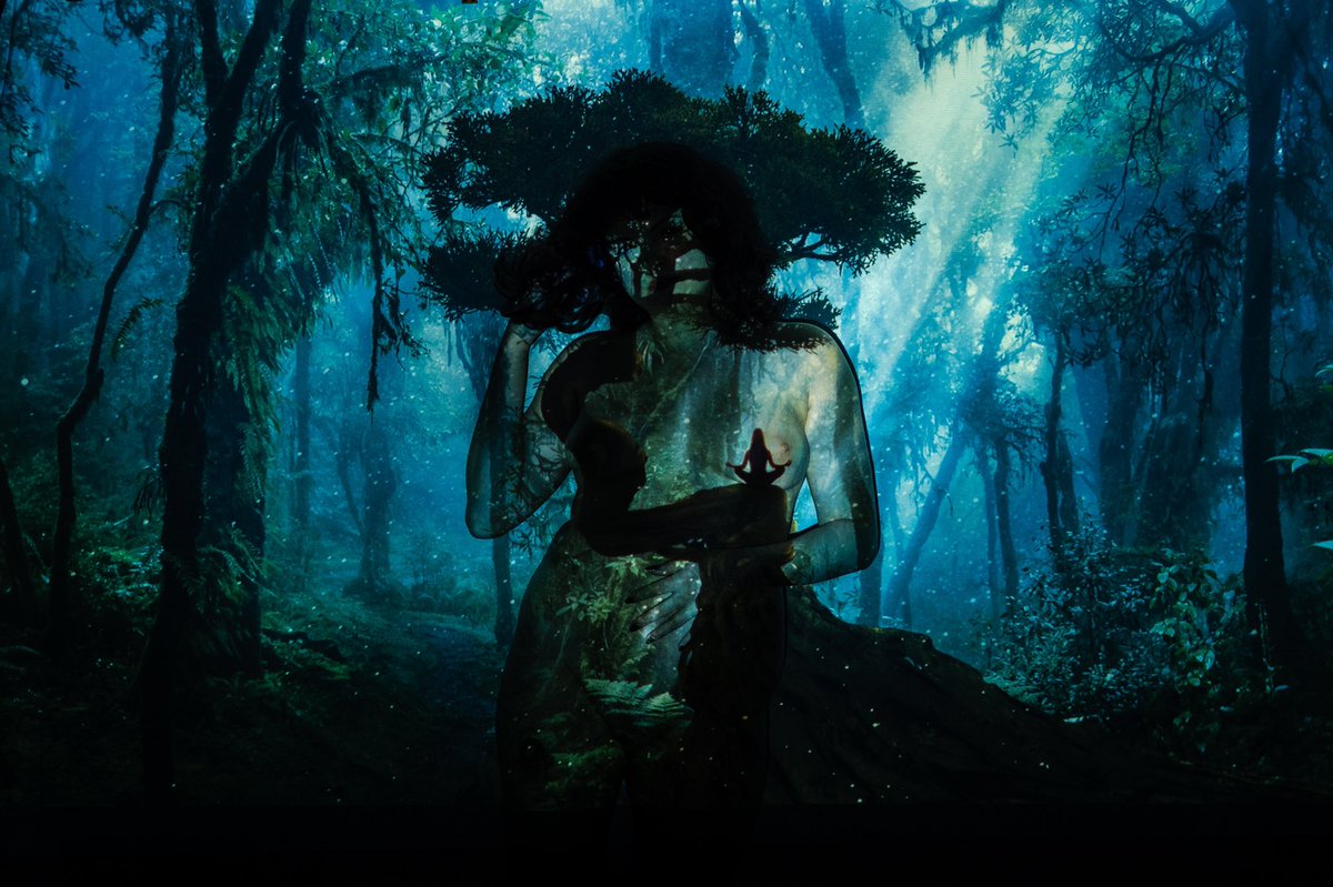 🕷🕸It’s spooky season 🕸🕷

Owned by: <a href="/MrStats_/">Mr. Stats</a>