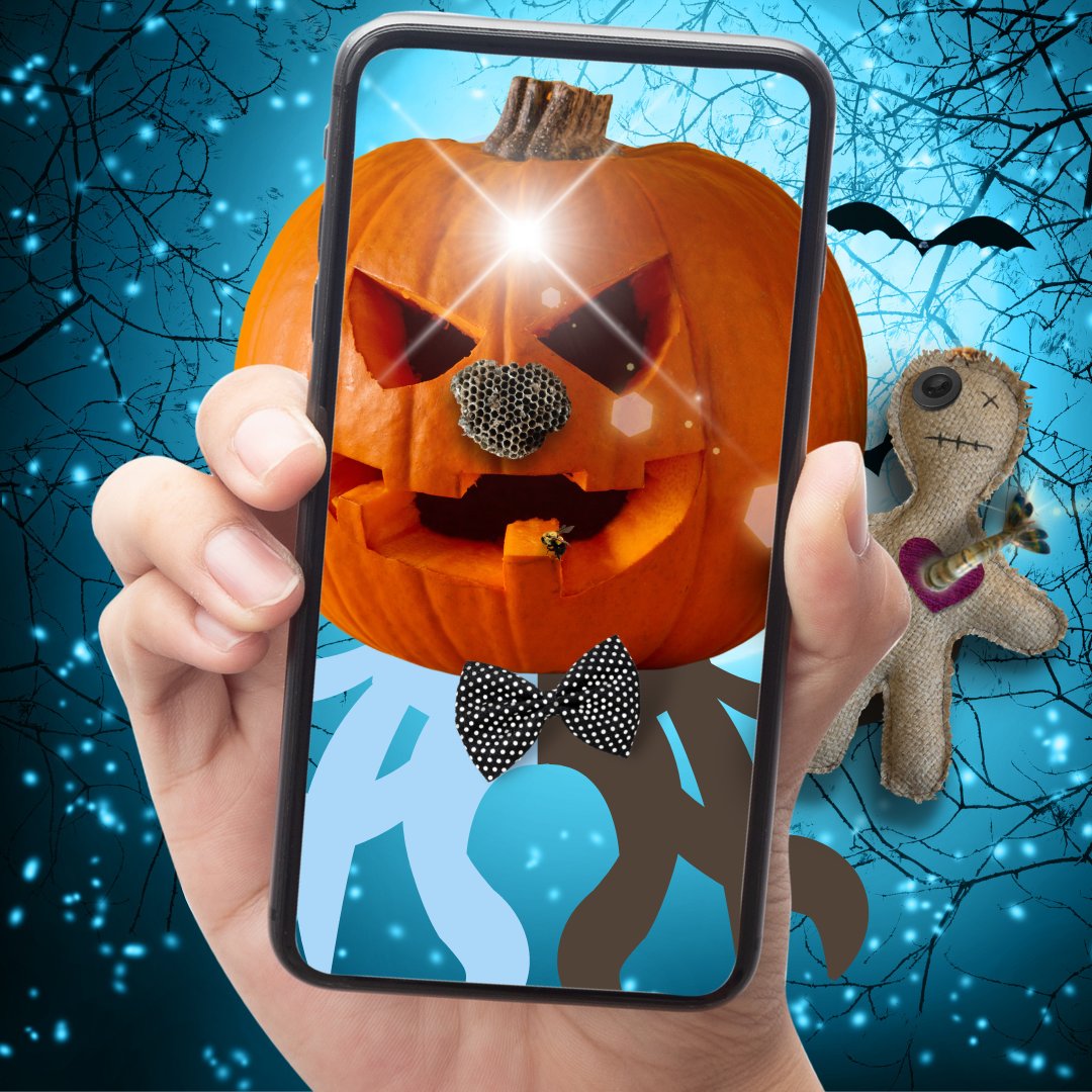 Halloween 2022  | NFT with utility : Tulum Beach Mexico |meta11-11nft | opensea

#nft #nftart #nfts #nftartist #octopus #nftcommunity #digitalart  #metaverse #etheruem #nftcollection #nftopensea #nftinvesting #nftclub #Beachcleaning #Plasticbag #pollution #Squash  #Halloween2022