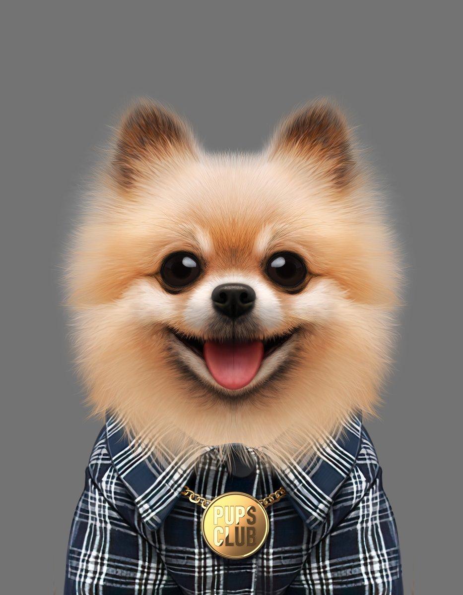 pupsclub tweet picture