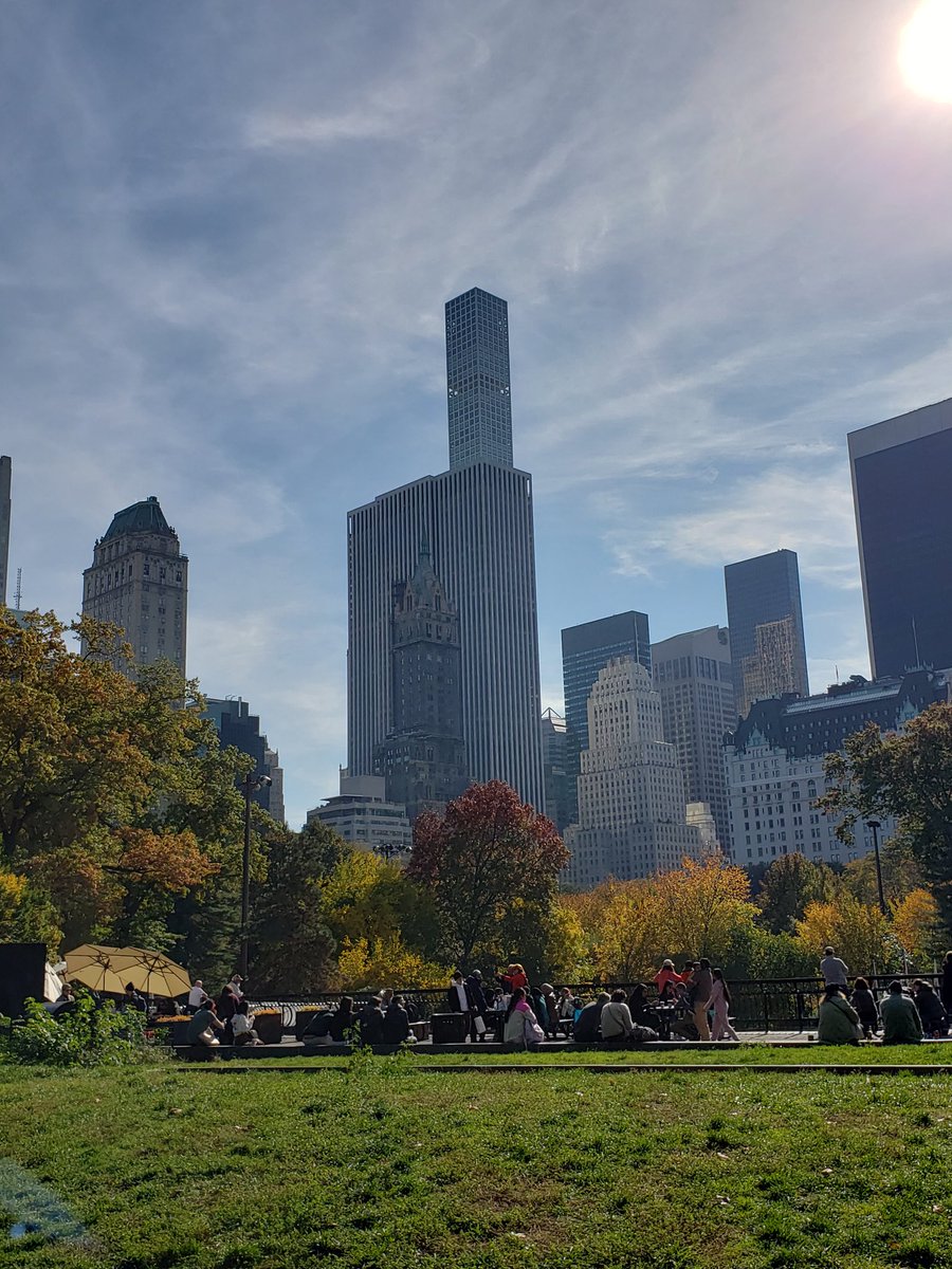 TheWriteByrd's tweet photo. In the big city for an @scbwi Regional Team meeting. 
My view from Central Park. https://t.co/drS742pjDg