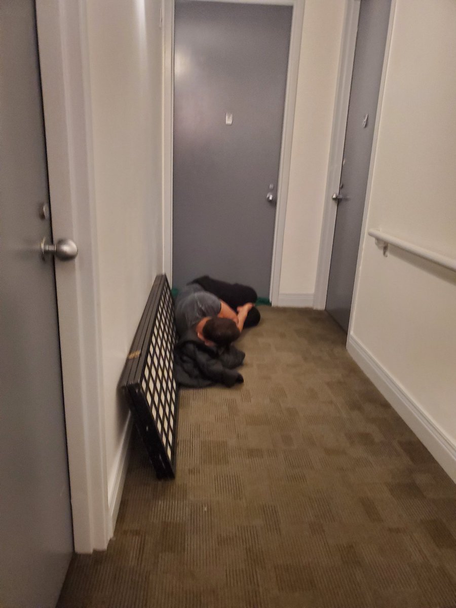 I think my neighbors had a fight, do i keep him company?