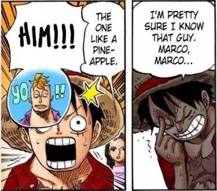 Zoro understands Luffy