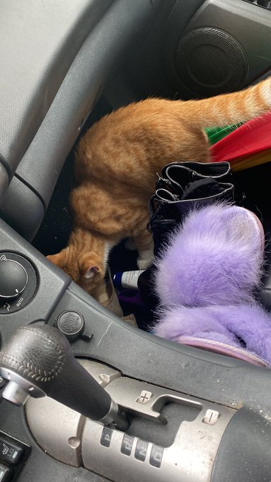 . He&rsquo;s sooo cute but you can&rsquo;t stay with me.!! https://t.co/uujaySOlB7<a href="/tag/cute"class="tags"><span>#cute</span></a><a href="/tag/babygirl"class="tags"><span>#babygirl</span></a><a href="/tag/alabama"class="tags"><span>#alabama</span></a>