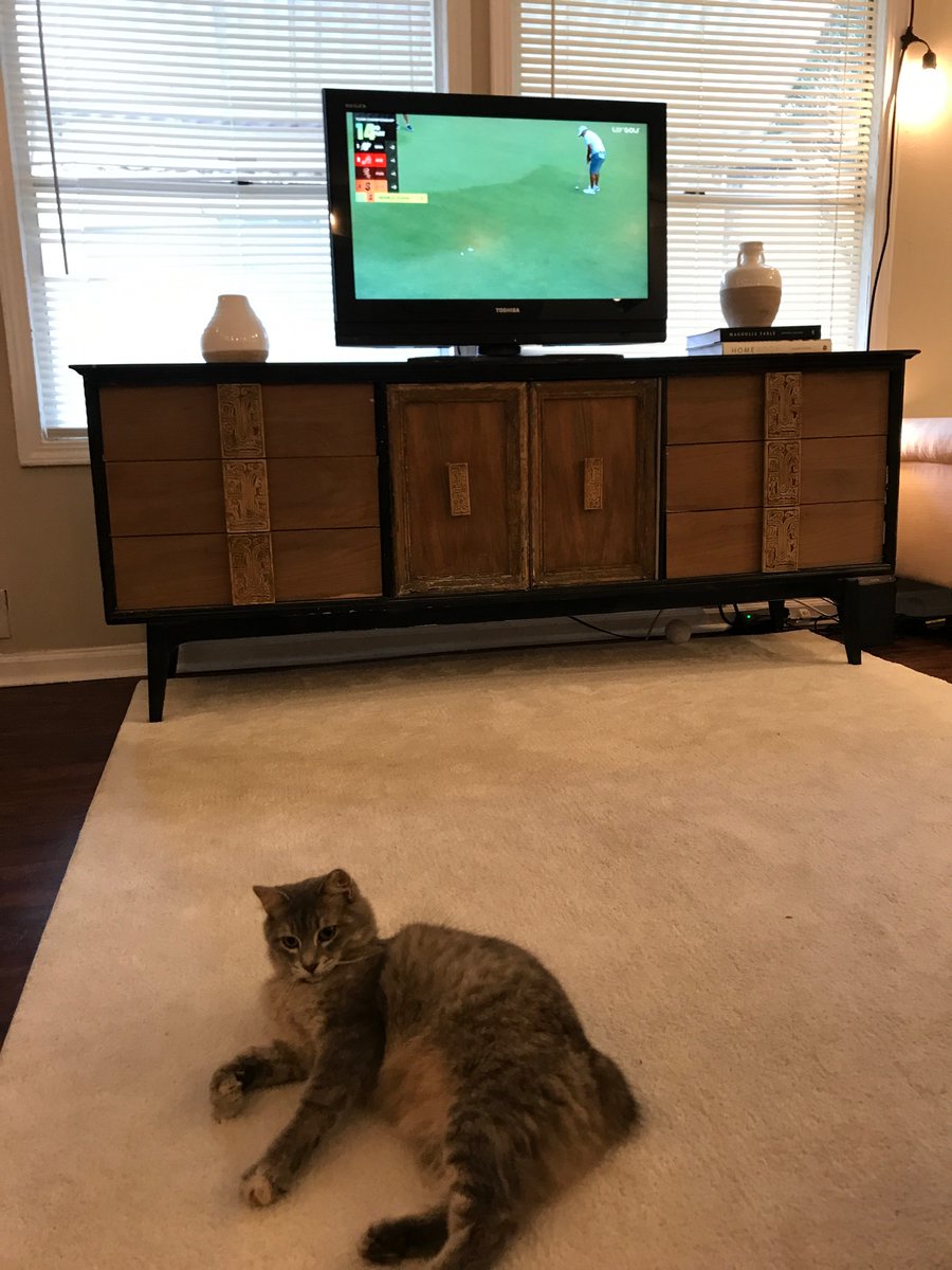 natepfinneran's tweet photo. Dogs aren’t the only animals that are LIV golf fans. Bunny is rooting on @smashgcLIV #LIVBroadcast #LIVGolfMiami #LIVGolf https://t.co/8AH2K9gbSa