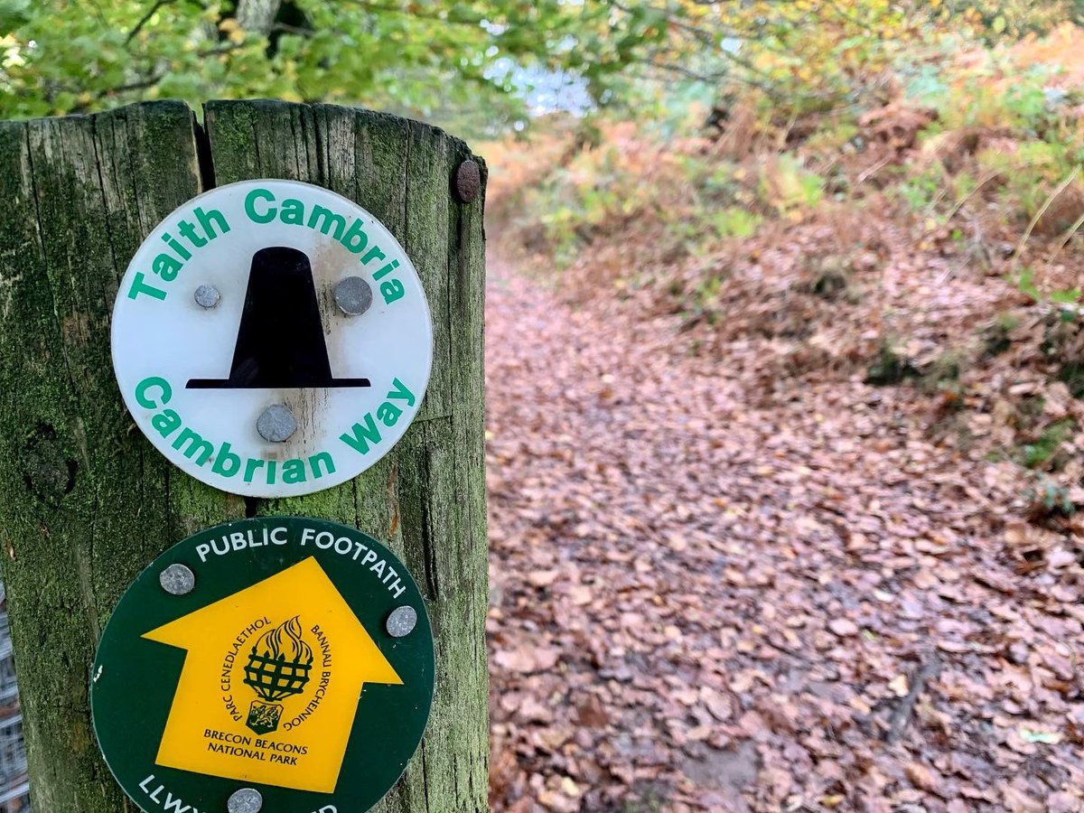 p_m_davies's tweet photo. I ran up, down & around Sugar Loaf Mountain yesterday - twice! About 12 miles and 2,900ft of elevation made it a tough one. I have a long term goal of running the whole Cambrian Way which takes in most - if not all - of Wales’ mountain ranges. This is just the beginning ⛰ https://t.co/J8rHAHg5Hx