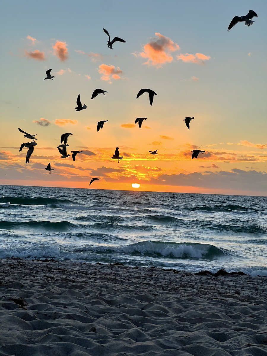 Despertarse temprano para tomar mates con esta vista > todo