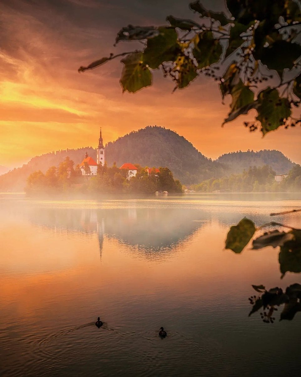 Dreamy autumn morning at Lake Bled #Slovenia 📷 krenn_imre