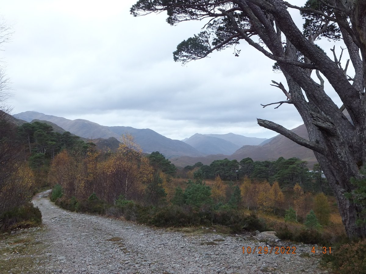 jimmychihuahua's tweet photo. Great walk yesterday  #Morvich over to #Affric perfect weather  Lunch in the Camban Bothy  Happy Days in the #Highlands https://t.co/TQlujDbnZ0