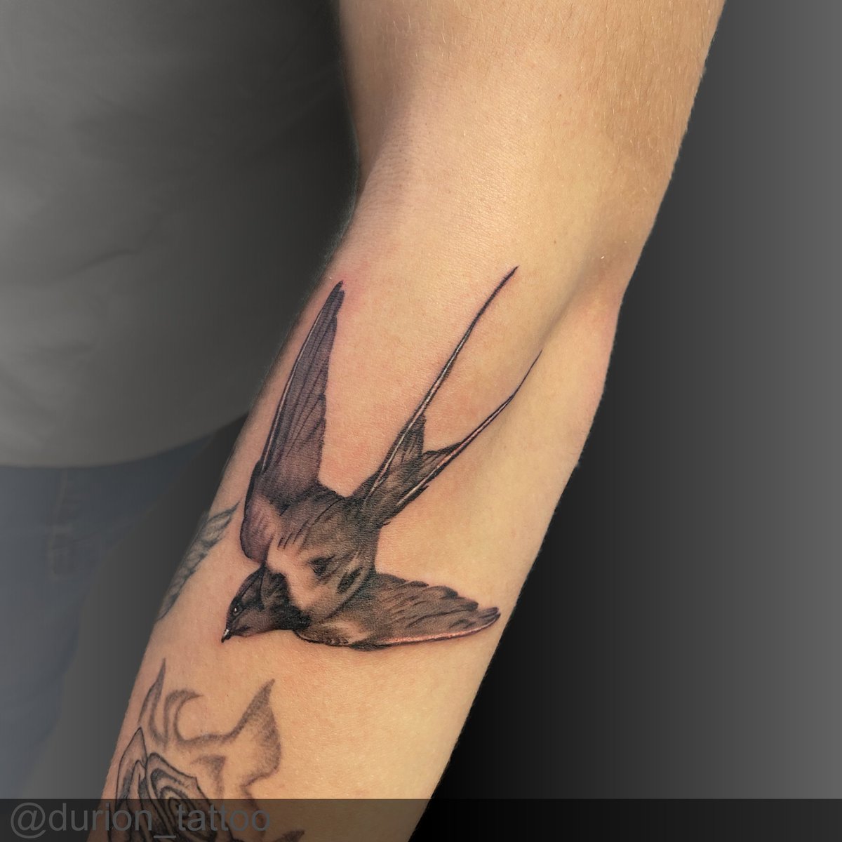 DurionTattoo's tweet photo. Inquires -> https://t.co/Du4XUC8whQ or PM if its possible.

#tattoo #tattoos #tetovani #ostrava #europe #durion #bng #bngtattoo #ink #black #white #color #fineline #line #realism #realistic #micro #mini #traveler #iphoneshot #picoftheday #best #blackwork #coverup #shading https://t.co/aj9fc1dUwo