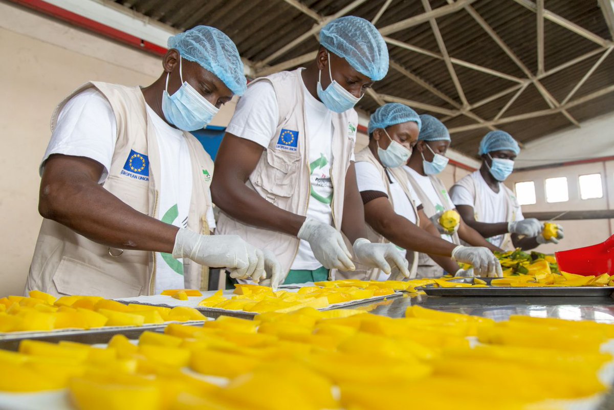 ABC_Gokwe tweet media