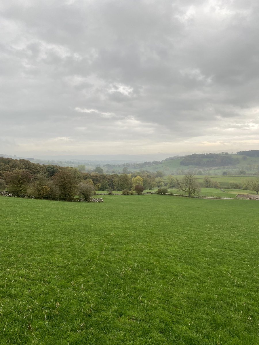 Karen Hopkinson tweet media