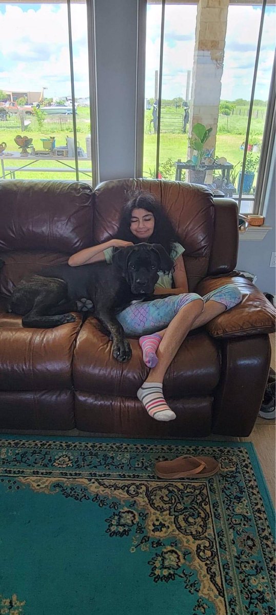 LoyalSapphire's tweet photo. My older sister got a new puppy 4 months ago. he’s 6 months old now and he is pretty big for his age. He is a Cane corso and his name is Thor https://t.co/8fUlJDvkNY