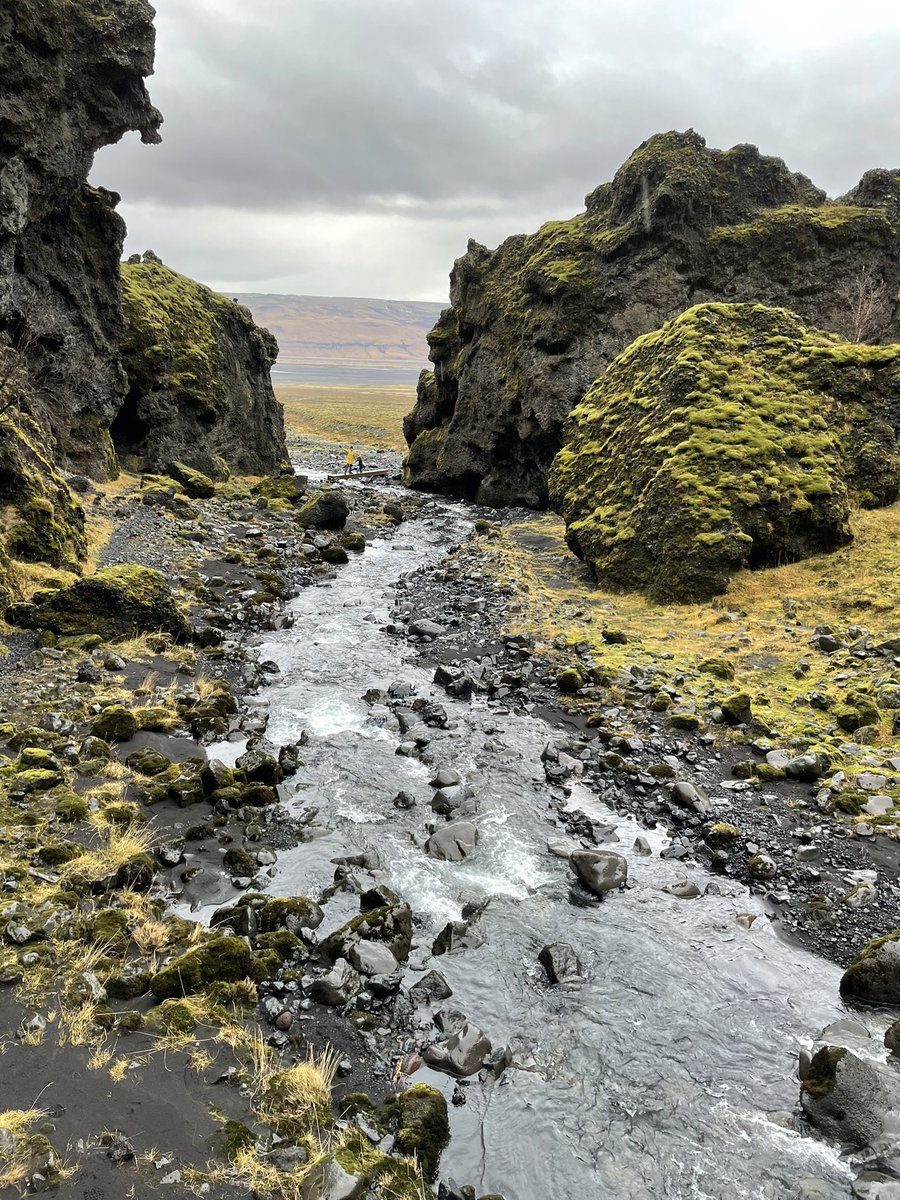 Abigail King tweet media