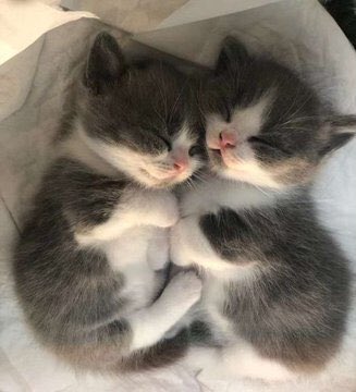 ITS TIME FOR LOVEING!!