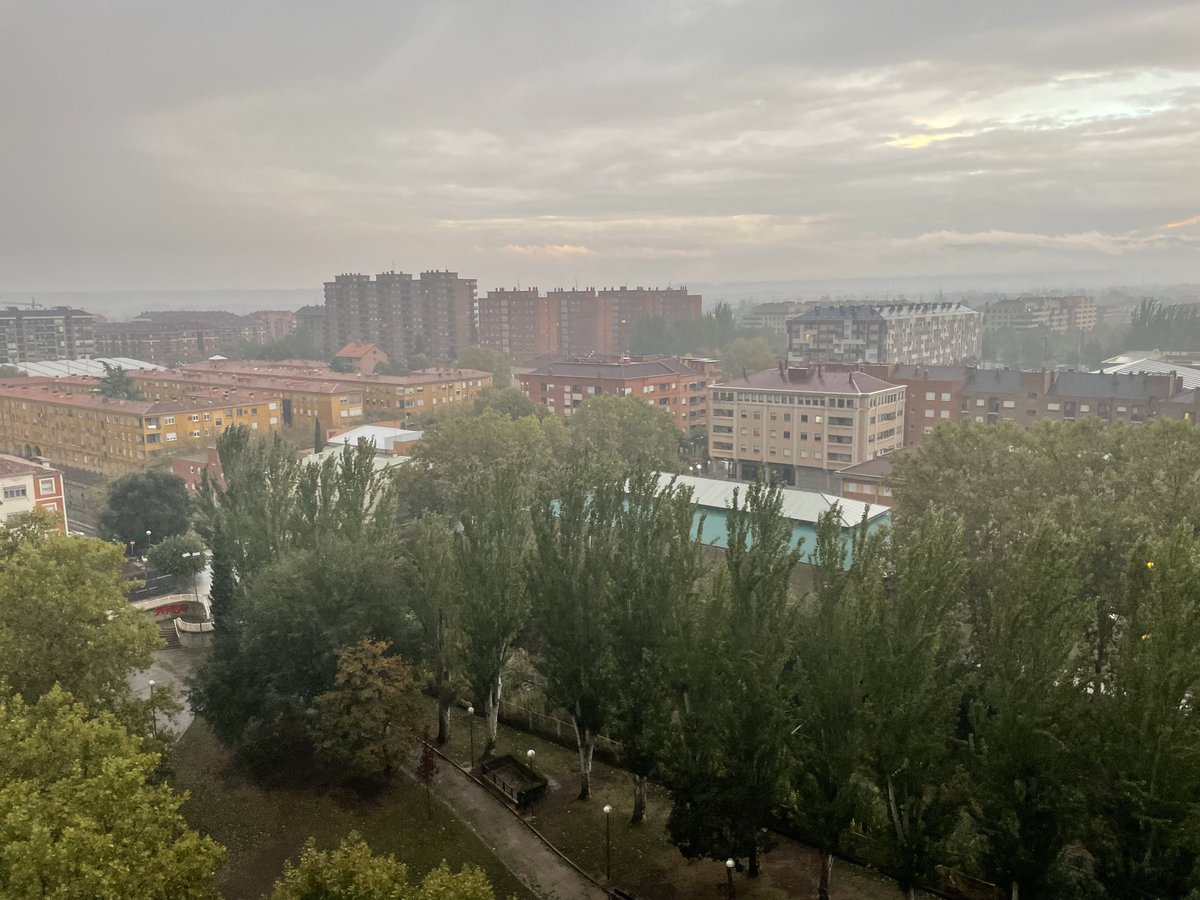 Buen tiempo, por lo tanto: Llueve ☔️ #agua #crisisclimática