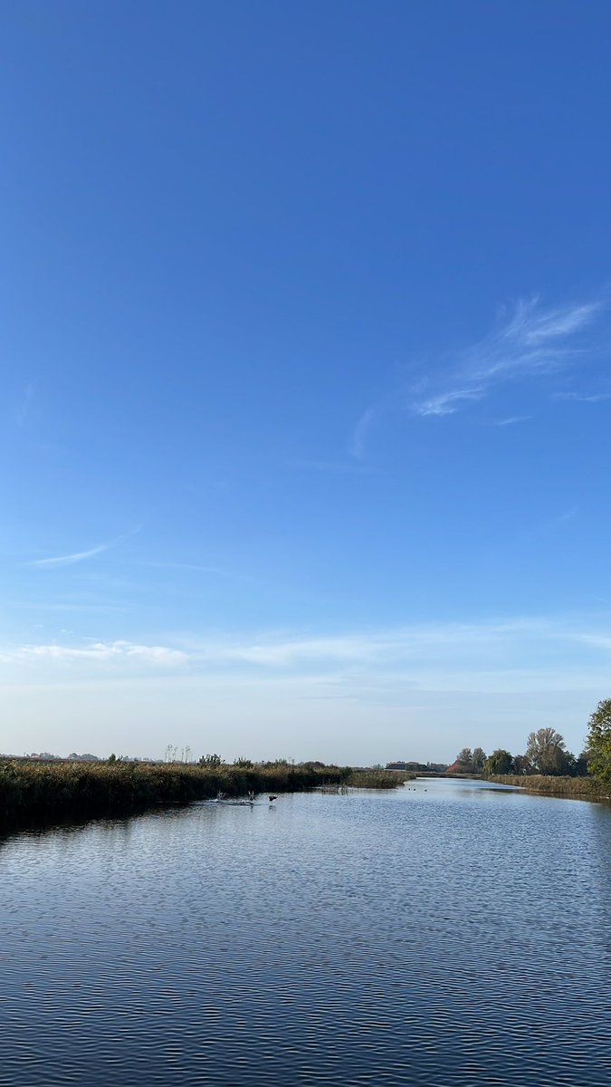 Weekend natuur genieten.Gisteren met ruim 30 deelnemers namens Ynnatura en It Fryske Gea op trekvogelexcursie in Noorderleech en vandaag even t water op bij Grou. #mooifriesland