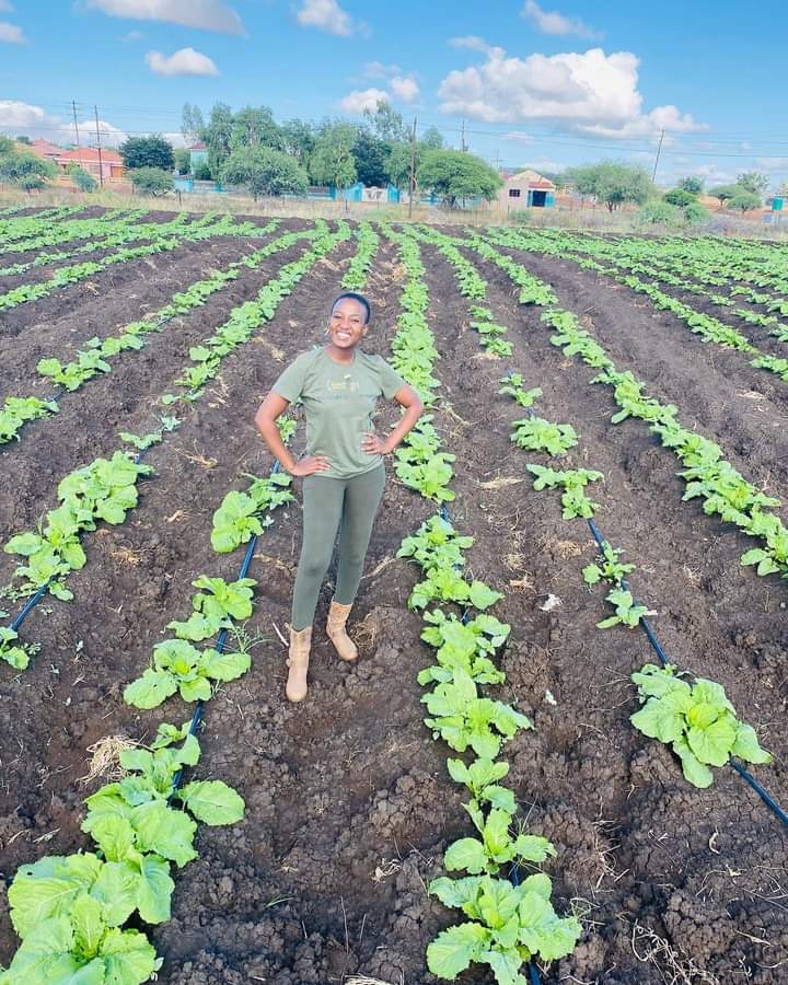 farmingmfs's tweet photo. If you are interested in farming, please like and retweet. https://t.co/38ZkZNeFSK