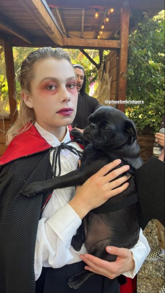 addams family thing dog costume