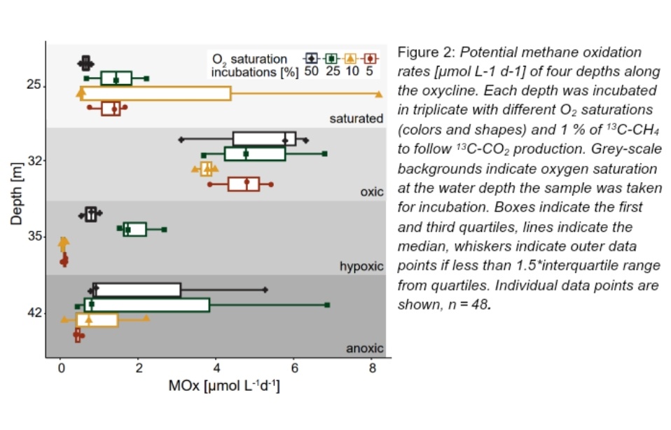 Mike Jetten🟥 (@msmjetten) on Twitter photo Very happy to see online the joint ERC #MARIX team effort on: Versatile #methanotrophs form an active #methane biofilter in the oxycline of a seasonally stratified coastal basin by <a href="/JessicaVenetz/">Jessica Venetz (she/her)</a> @a_veraart etal @RIBESresearch #microbiology
biorxiv.org/content/10.110… Very happy to see online the joint ERC #MARIX team effort on: Versatile #methanotrophs form an active #methane biofilter in the oxycline of a seasonally stratified coastal basin by <a href="/JessicaVenetz/">Jessica Venetz (she/her)</a> @a_veraart etal @RIBESresearch #microbiology
biorxiv.org/content/10.110…