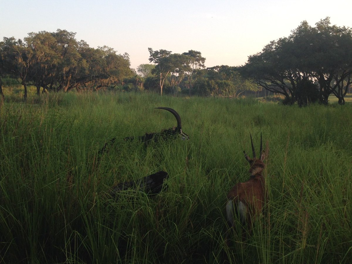 JamboEveryone's tweet photo. #PerfectDak https://t.co/aFEcP9J0FY