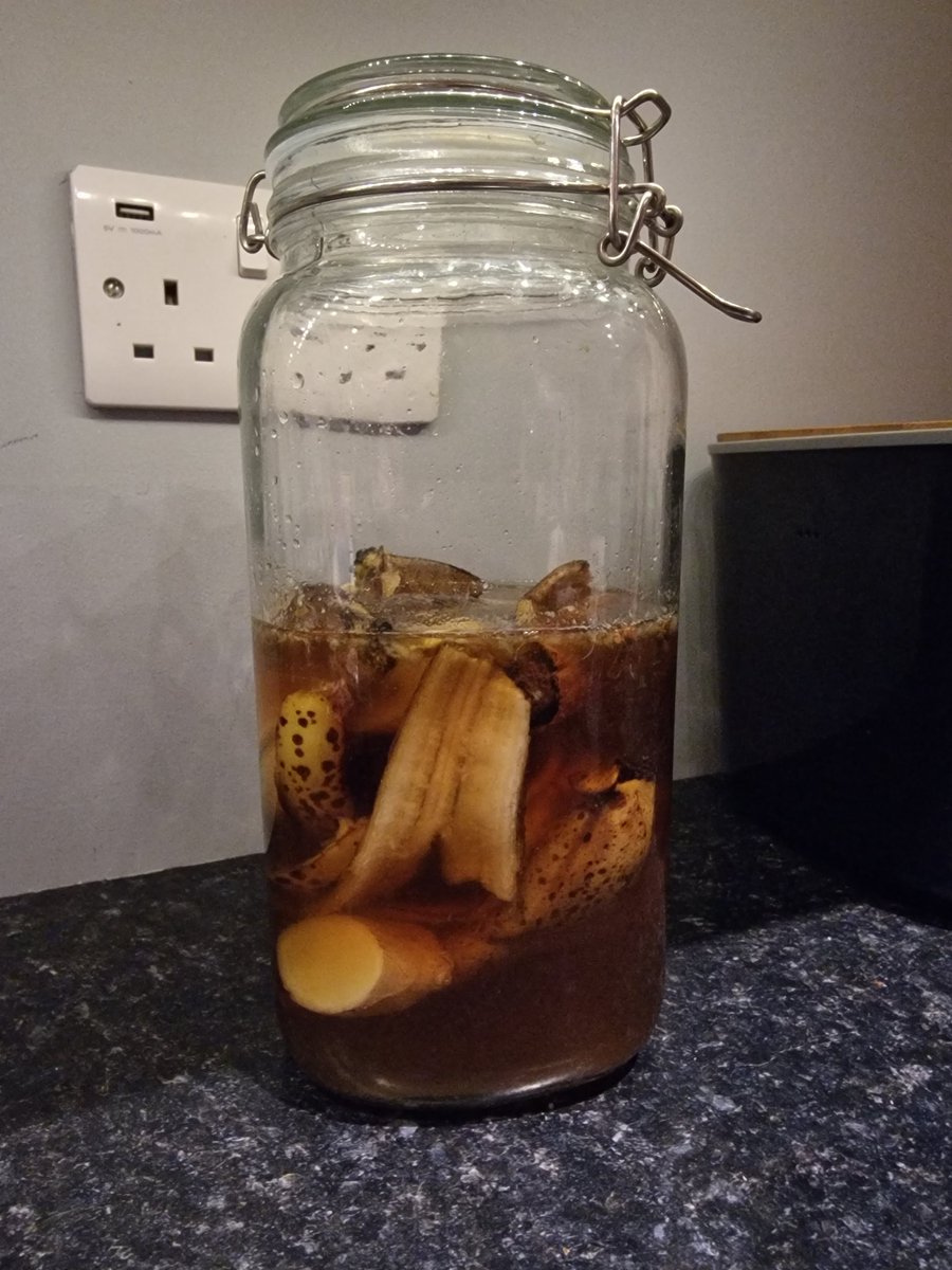 brewforagegrow's tweet photo. Trying to up my fermentation game, cant all be beer beer beer 😁
Trying my hand at Tepache today with banana skins https://t.co/wZMcRUdwfS