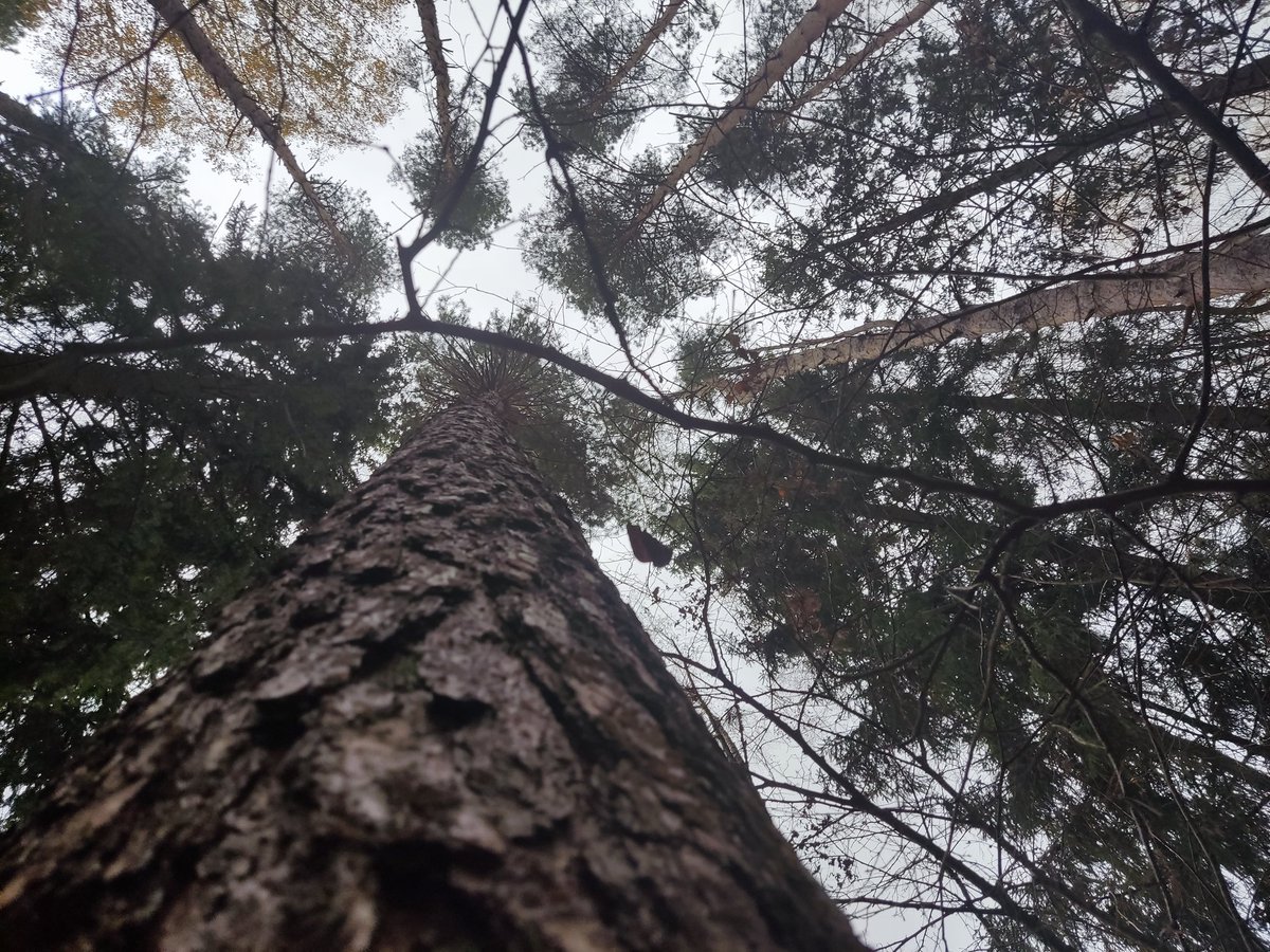 🎙RSpaceBoy©🤖🎙 tweet media