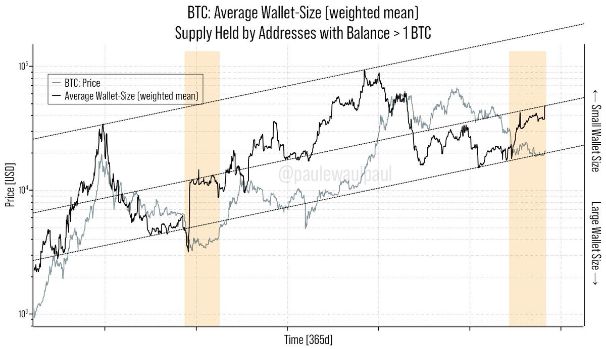 We observe distribution/accumulation patterns by visualizing the average  wallet size. #Bitcoin For this we use an average of the supply held by  addresses >1 BTC weighted by address balance. Three basic observations: