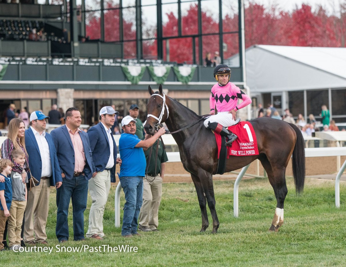 Fayette S. 64 runnings Jockey Wins 5 - Don Brumfield 1978, 1982, 1983, 1987, 1988 Active 4 - Julien Leparoux 2010, 2011, 2012, 2016 3 - Calvin Borel 2004, 2005, 2017 2 - Javier Castellano 2020, 2021 2 - Joel Rosario @JRosarioJockey 2019-Tom's d'Etat, 2022-West Will Power