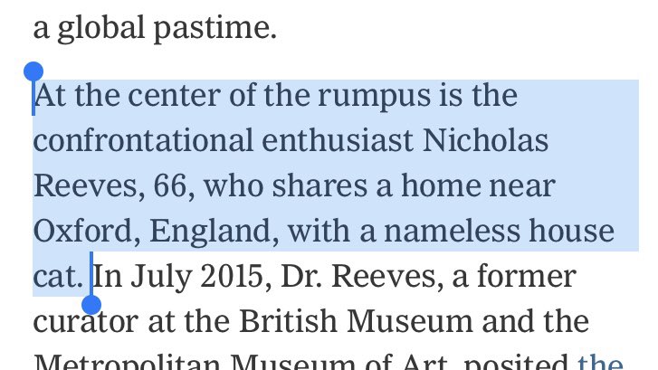 Dude name your cat c’mon #NYTimes