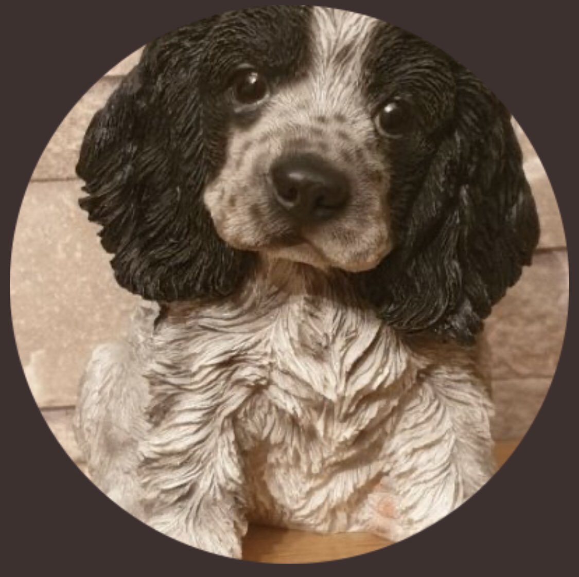 racist pets tweet media