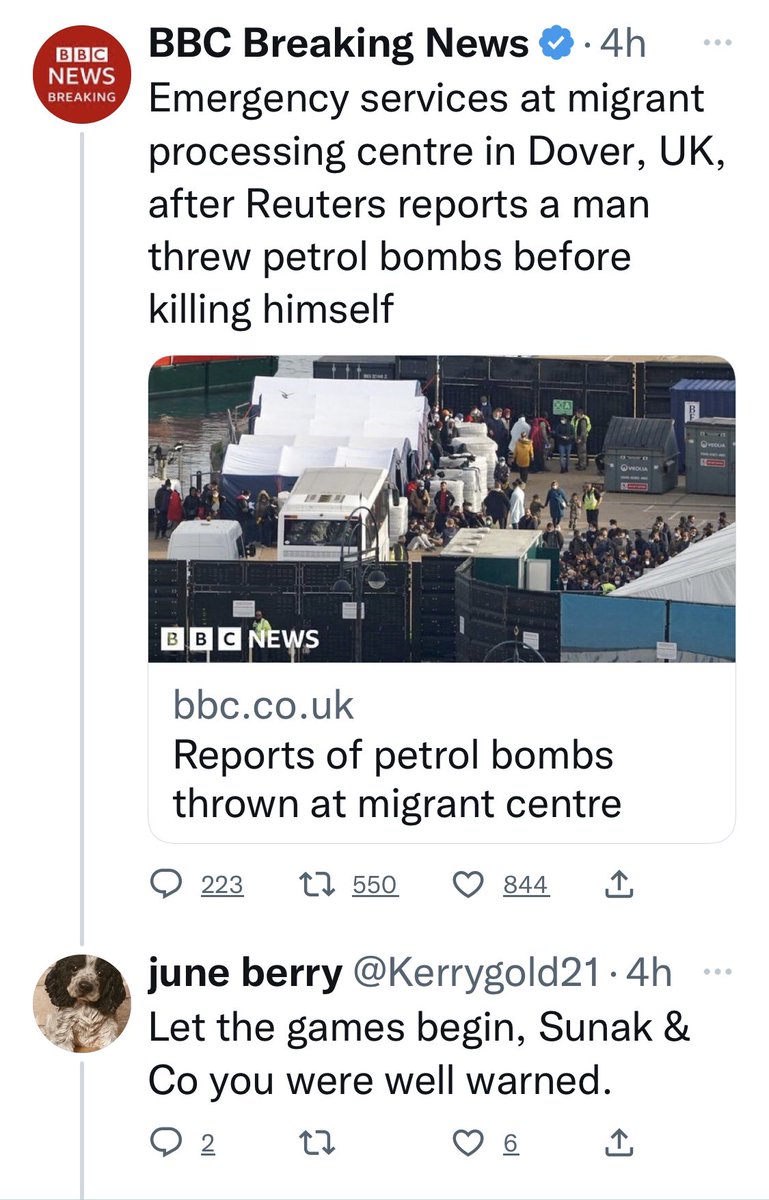 racist pets tweet media