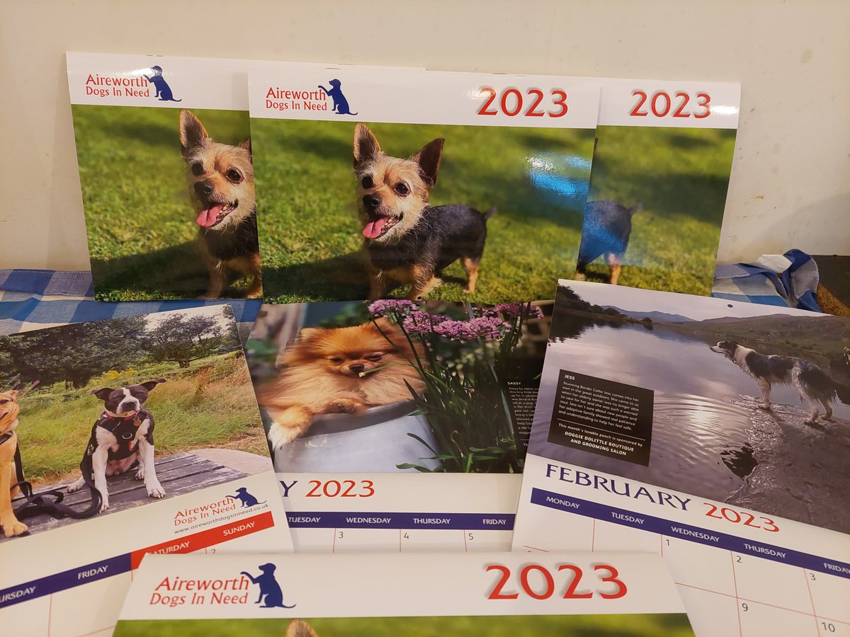 Aireworth Dogs 🐾 tweet media