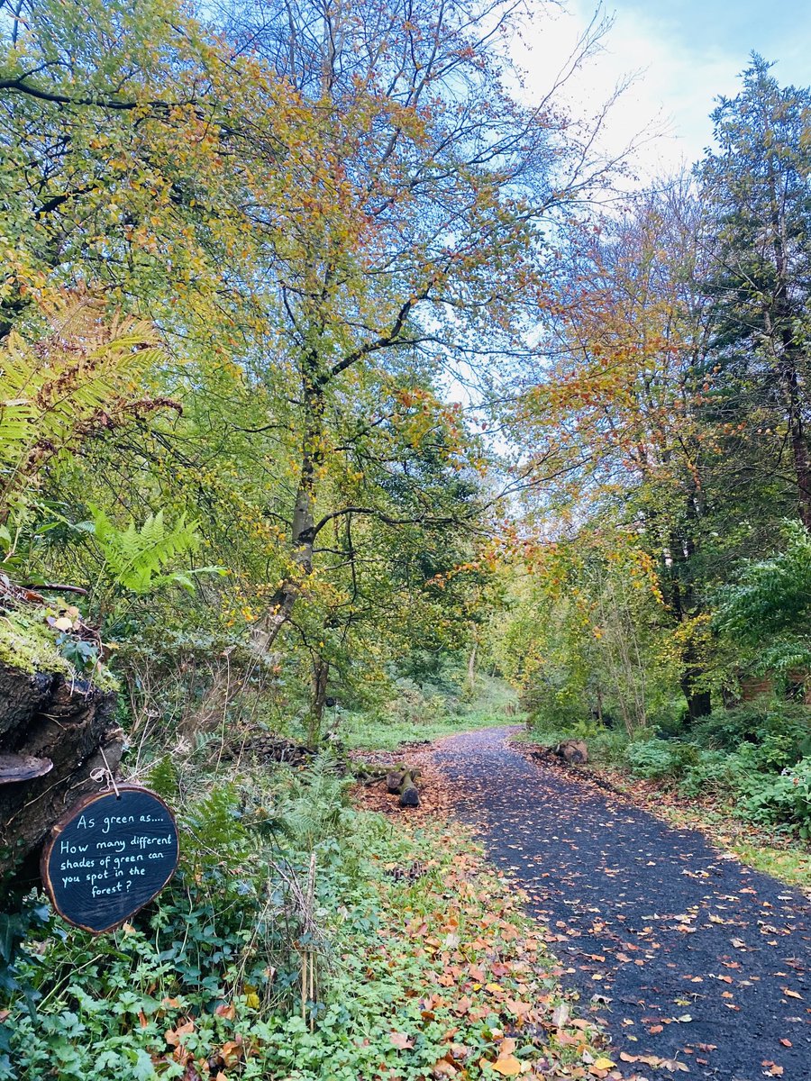 EllieKa66133452's tweet photo. Splendour in the grass #BlackGlen ⁦@NationalTrustNI⁩ the end of #October #nature #autumn https://t.co/1SyI13qpde