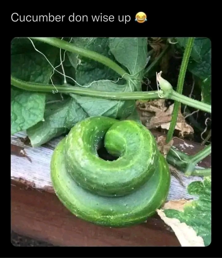 Nozynation01's tweet photo. Wahala be like watin https://t.co/wuQDrtznJ5