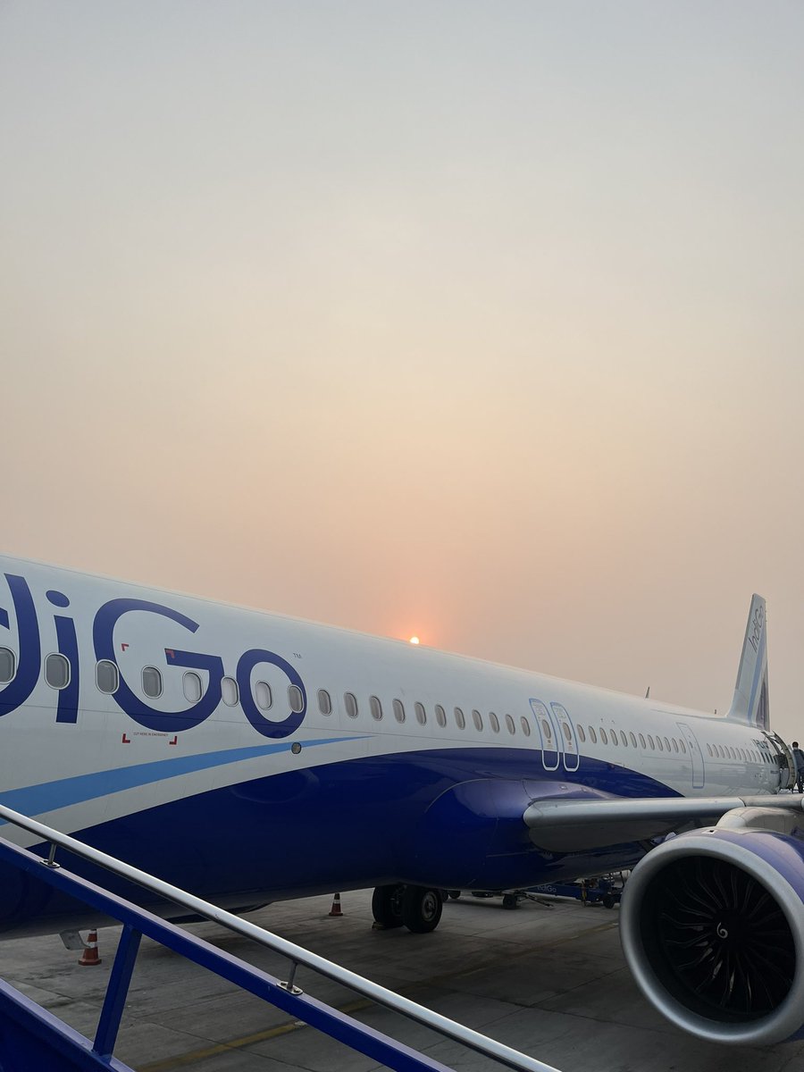 Elizabeth Mary John tweet media