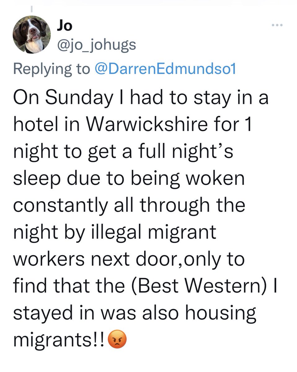 racist pets tweet media