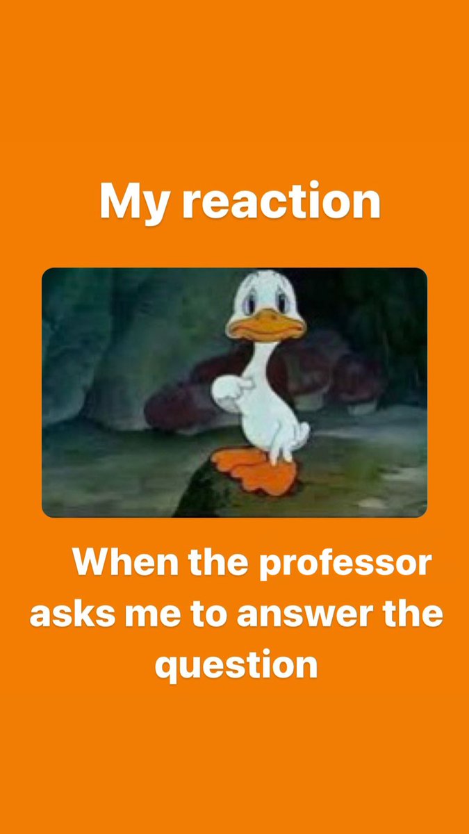 studybids's tweet photo. Who? Me?😅
-
-
-
-
-
#college #collegelife #collegestudents #collegeprep #collegeparty #collegeready #collegestudentproblems #collegestress #collegestruggle #collegeadmissions https://t.co/5eixDg46Lt
