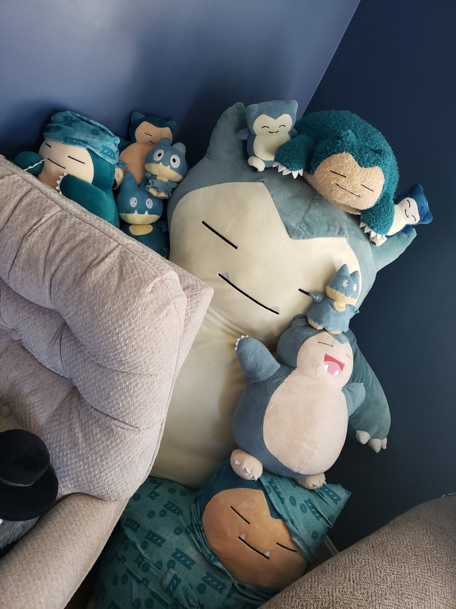 🦇🦔Gia🦔🦇 tweet media