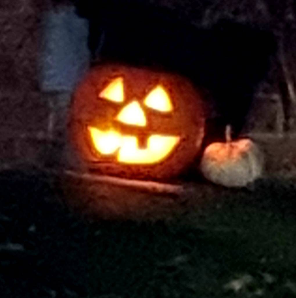 Humberbeat_NL's tweet photo. #Crosby Pcsos Howie & Ellis have been out and about on ASB patrols as part of Op Topaz. No issues to report so far and good to see members of our community getting into the spirit of things ready for Halloween #CommunityPolicing #OpTopaz https://t.co/2R6A0Uw1Lf
