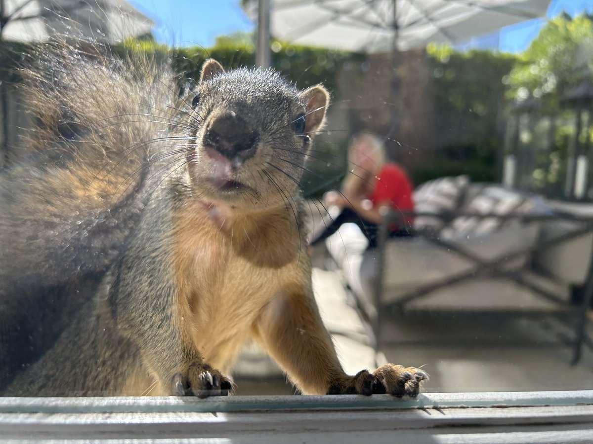 James Gunn tweet media